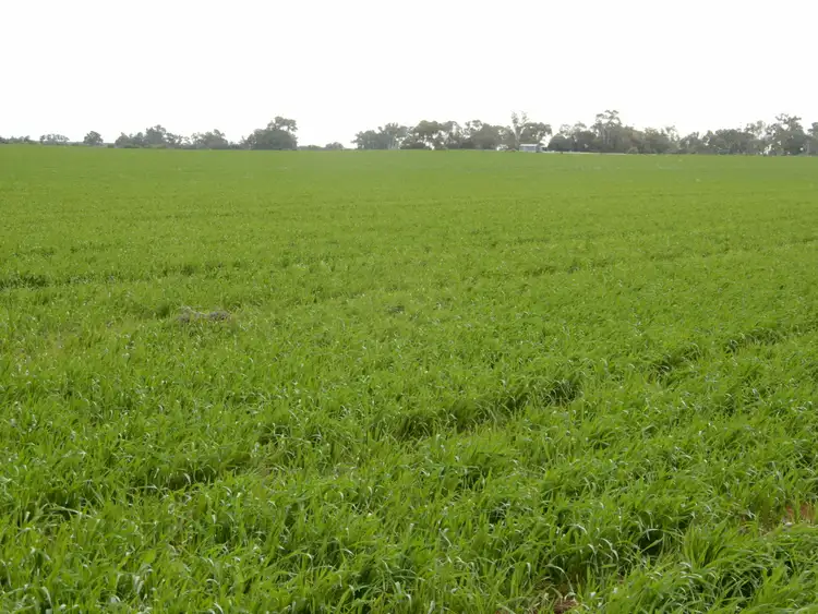 Fourth view of Homely rural property listing, Allotment 521 Nelshaby Road, Napperby SA 5540