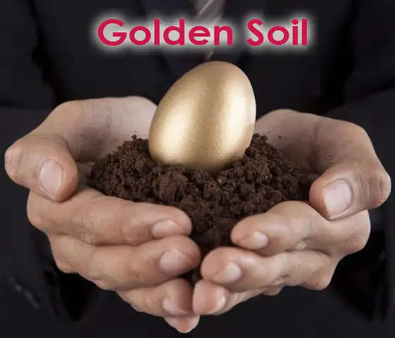 Fifth view of Homely semi-detached listing, 5 Rankin Way, Booragoon WA 6154