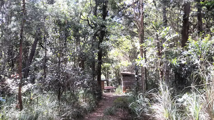 Main view of Homely rural property listing, 161 Gold Coast Road, Ravenshoe QLD 4888