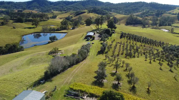 309 Welshs Creek Rd, Talarm NSW 2447