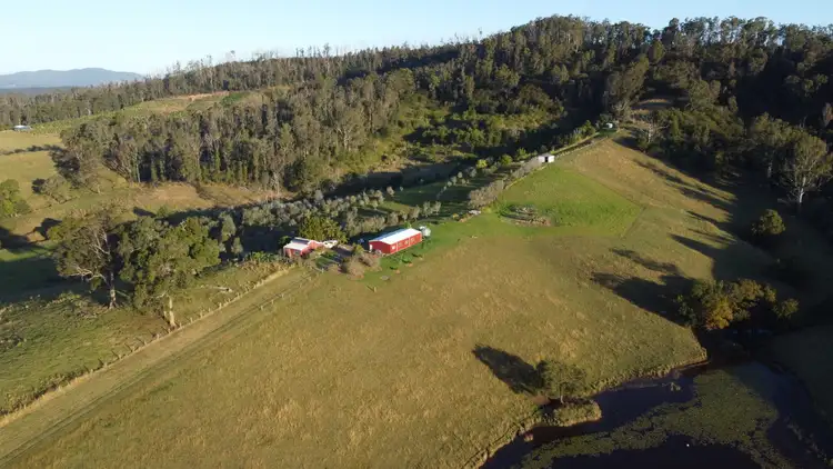 Fifth view of Homely house listing, 309 Welshs Creek Rd, Talarm NSW 2447
