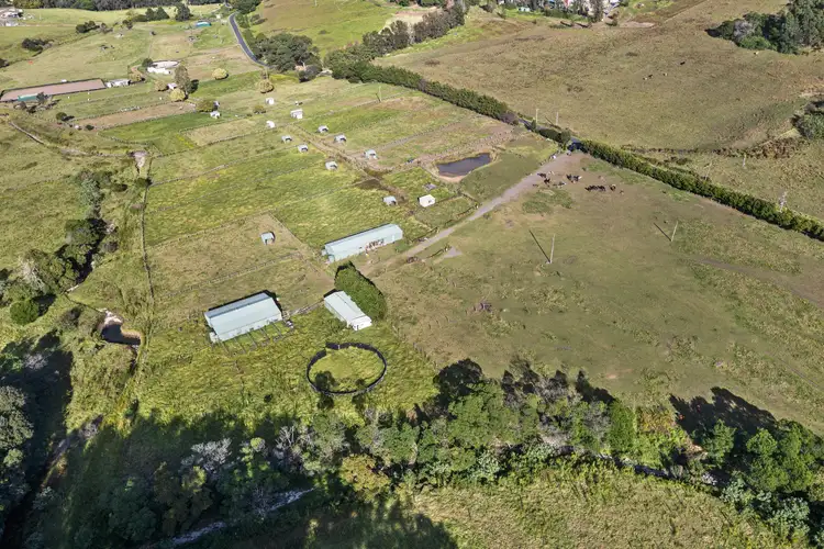 Fifth view of Homely rural property listing, 90 North Curramore Road, Curramore NSW 2533