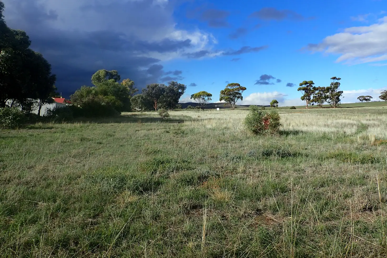 Main view of Homely land listing, 169 West Terrace, Carrieton SA 5432