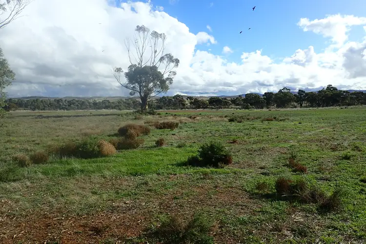 Second view of Homely land listing, 169 West Terrace, Carrieton SA 5432