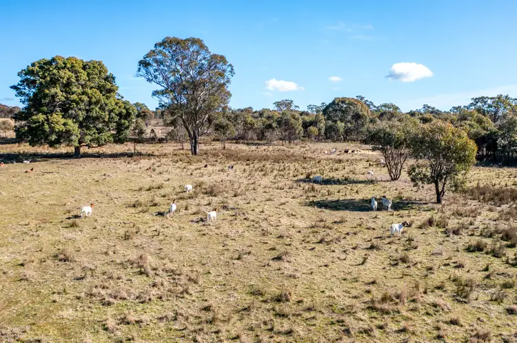 Sixth view of Homely rural property listing, 291 Pyangle Rd, Rylstone NSW 2849