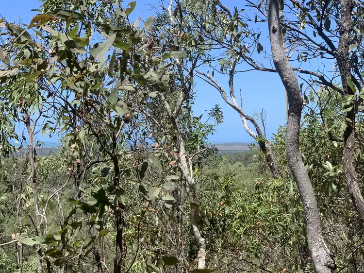 LOT 36 Whitsunday Dr, Bloomsbury QLD 4799