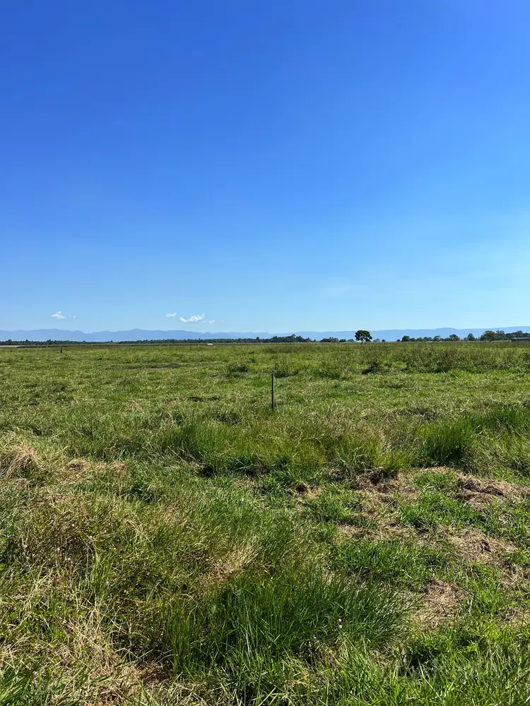 Sixth view of Homely land listing, LOT 1 Barrets Lagoon Rd, Rockingham QLD 4854