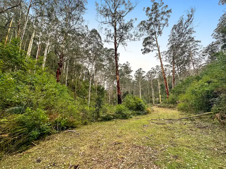 Third view of Homely rural property listing, 223 L3 Private Access, Laguna NSW 2325