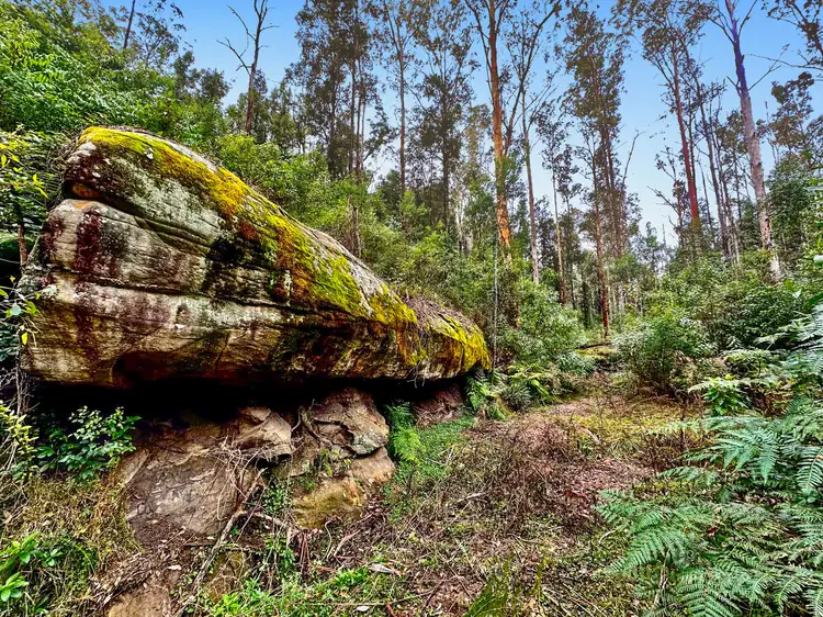Fourth view of Homely rural property listing, 223 L3 Private Access, Laguna NSW 2325