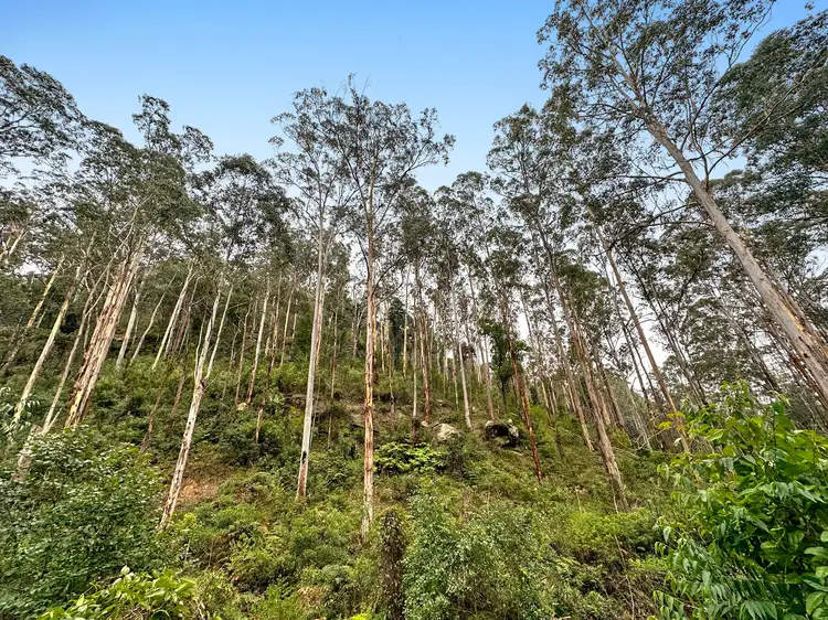 Fifth view of Homely rural property listing, 223 L3 Private Access, Laguna NSW 2325