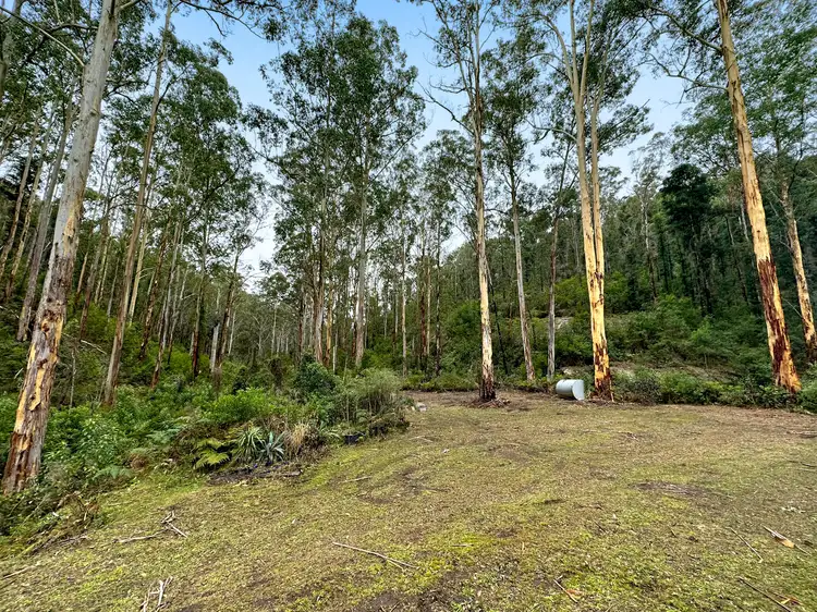 Sixth view of Homely rural property listing, 223 L3 Private Access, Laguna NSW 2325