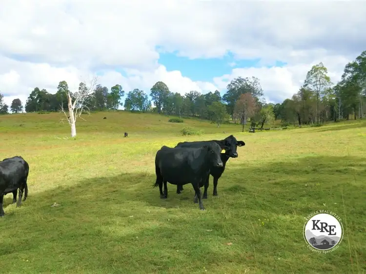 Main view of Homely rural property listing, 425 Old Dyraaba Road, Casino NSW 2470