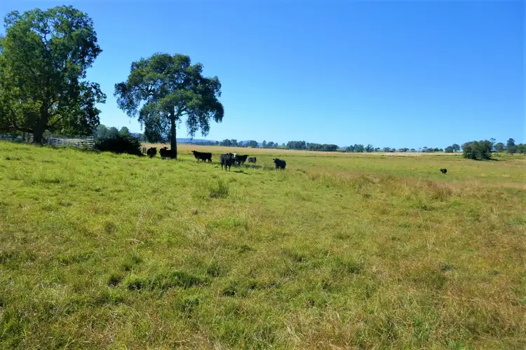 Third view of Homely rural property listing, 425 Old Dyraaba Road, Casino NSW 2470