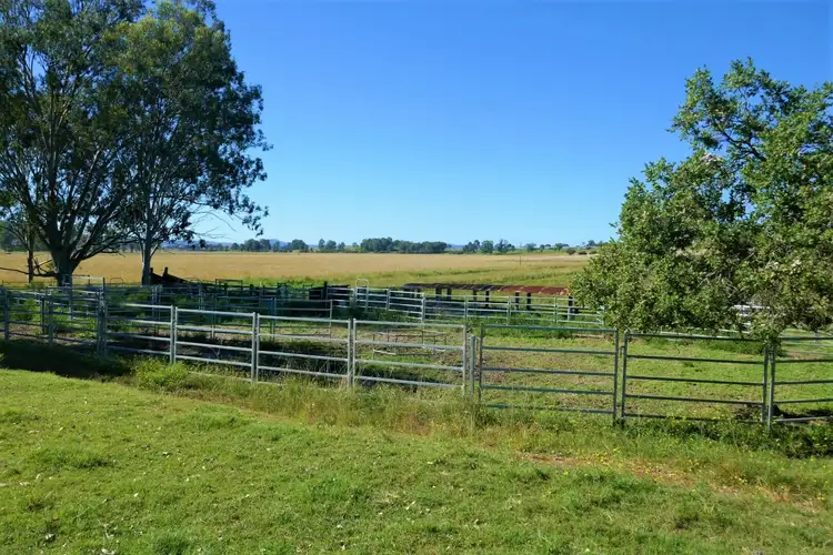 Sixth view of Homely rural property listing, 425 Old Dyraaba Road, Casino NSW 2470