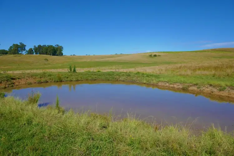 Seventh view of Homely rural property listing, 425 Old Dyraaba Road, Casino NSW 2470