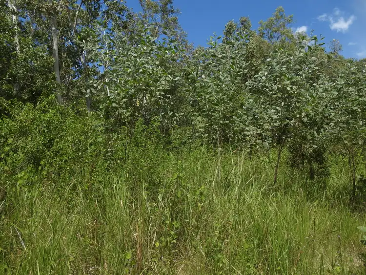 Sixth view of Homely land listing, LOT 35 Whitsunday Dr, Bloomsbury QLD 4799