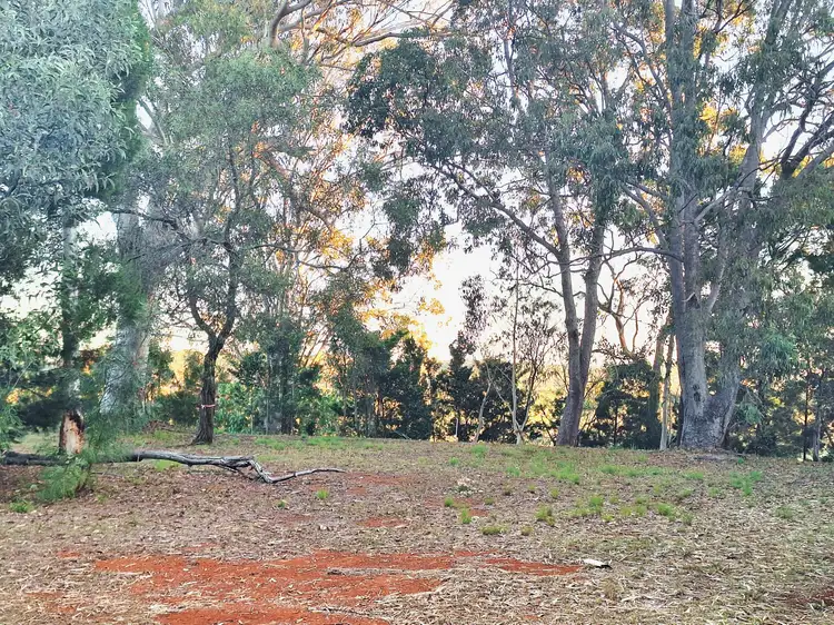 56-58 Treasure Island Ave, Karragarra Island QLD 4184