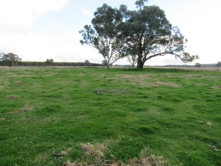 Main view of Homely rural property listing, 'Bringa'/367 Heriots Road, Cookardinia NSW 2650