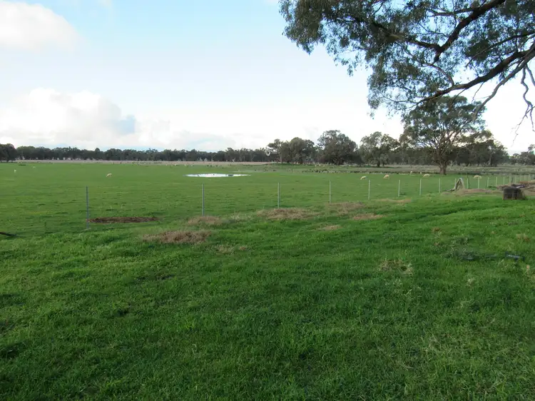 Fifth view of Homely rural property listing, 'Bringa'/367 Heriots Road, Cookardinia NSW 2650