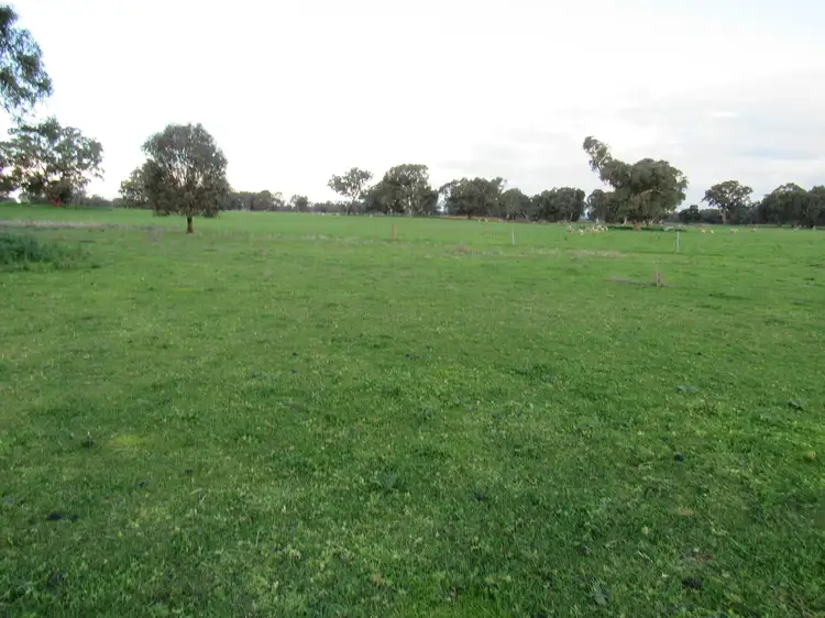 Sixth view of Homely rural property listing, 'Bringa'/367 Heriots Road, Cookardinia NSW 2650