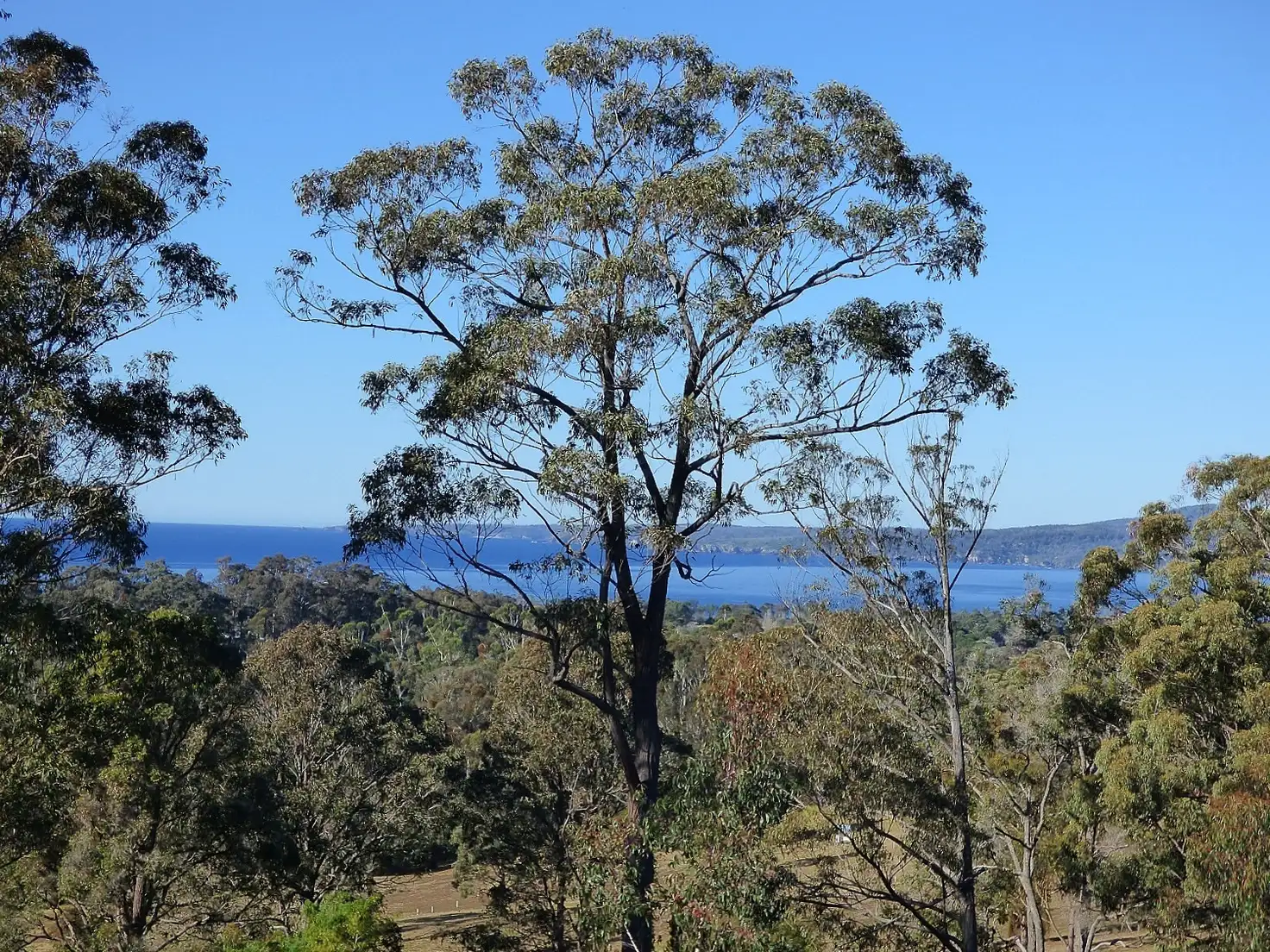 Main view of Homely land listing, 36 Komirra Dr, Eden NSW 2551