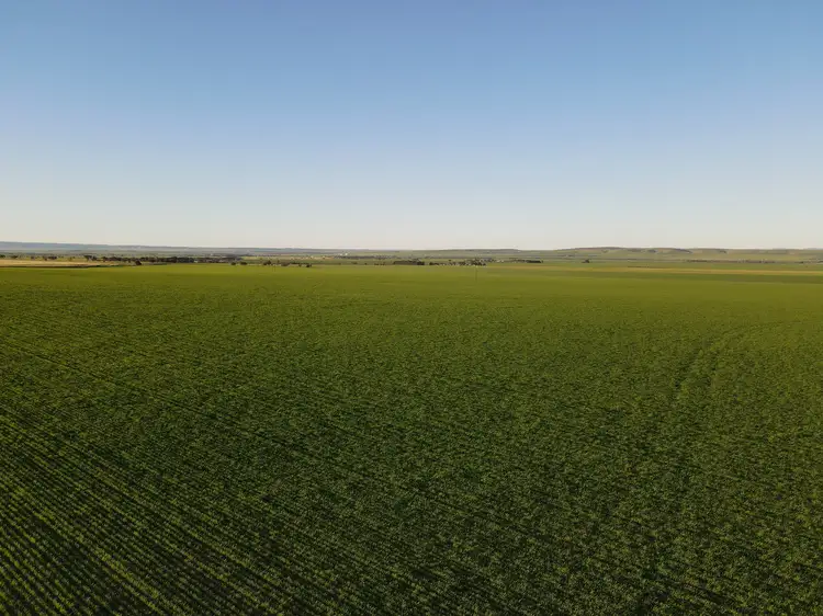 Main view of Homely rural property listing, 'Wilsons' Gap Road & Wilson Road, Clements Gap SA 5523