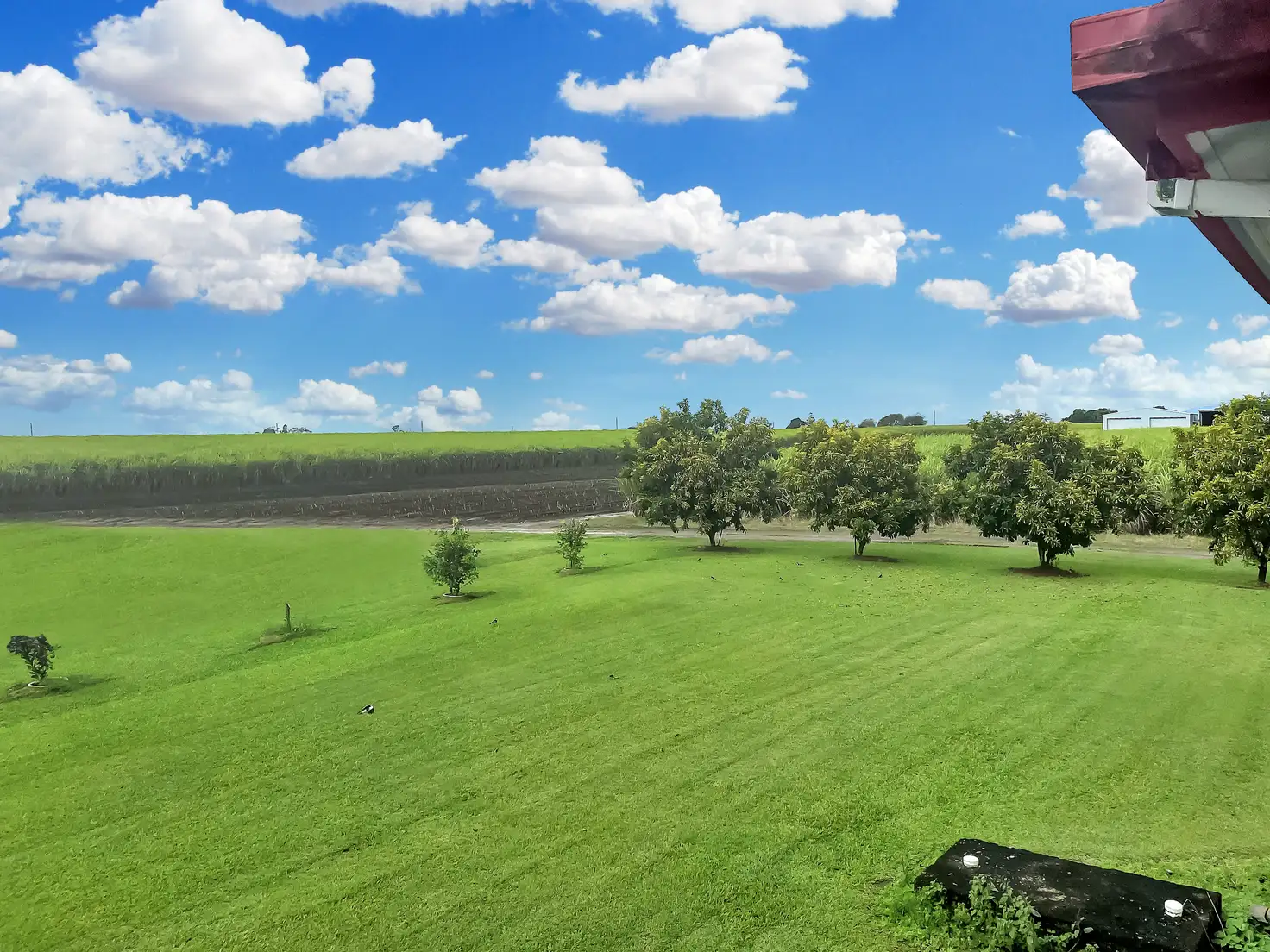 Main view of Homely house listing, 64 Weigands Rd, Alexandra QLD 4740