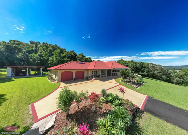 Main view of Homely house listing, 785 Old Tully Rd, Djarawong QLD 4854