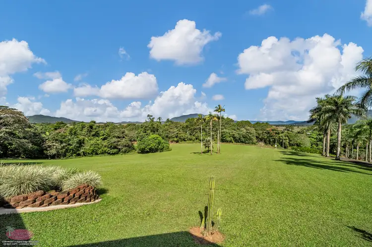 Seventh view of Homely house listing, 785 Old Tully Rd, Djarawong QLD 4854