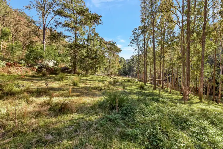 Second view of Homely rural property listing, 4472 Great North Road, Laguna NSW 2325