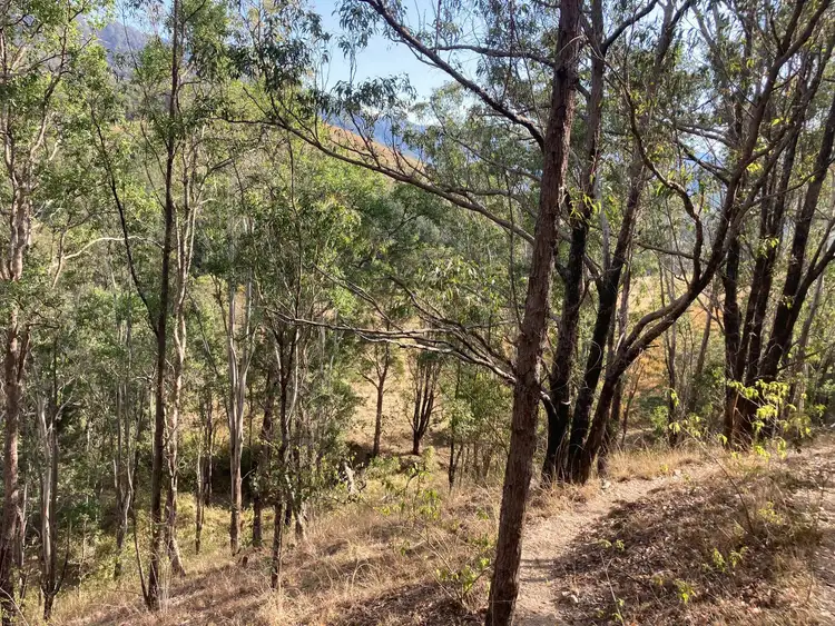 Third view of Homely land listing, 8872 Kempsey Rd, Lower Creek NSW 2440