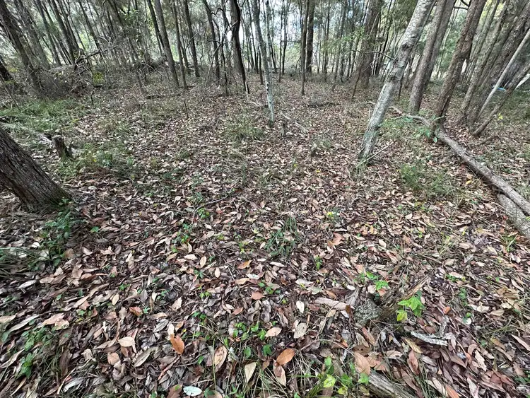 Sixth view of Homely land listing, 64 Burke Ave, Russell Island QLD 4184