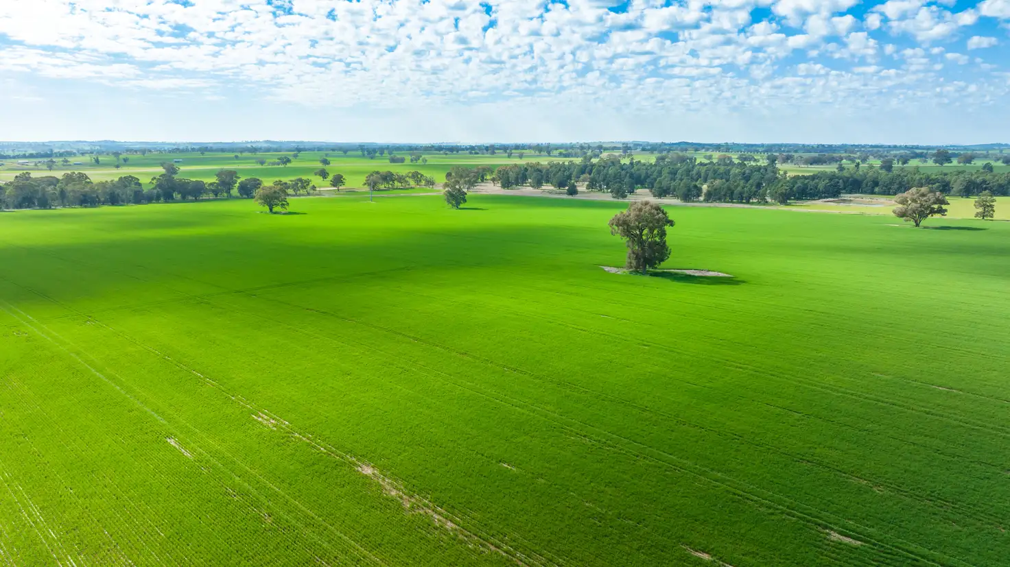 Main view of Homely rural property listing, 'Part Glenmoira'/524 Munyaplah Settlement Rd, Alma Park NSW 2659