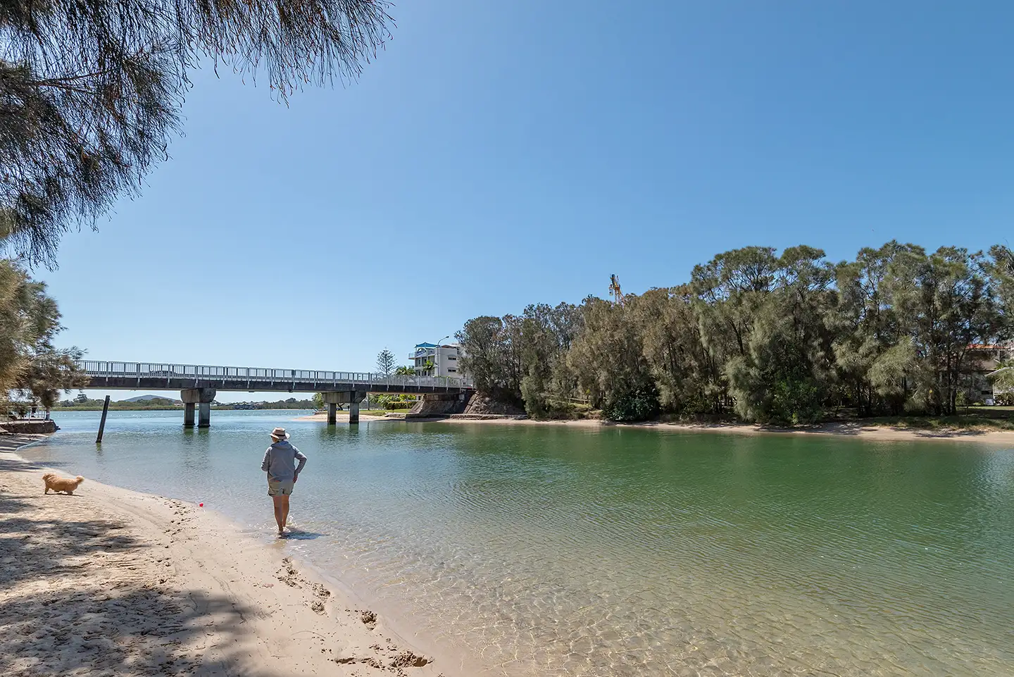 Main view of Homely townhouse listing, Unit 4/3-5 Bradman Ave, Maroochydore QLD 4558