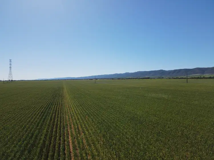 Third view of Homely rural property listing, Allotment 94 Locks Road, Napperby SA 5540