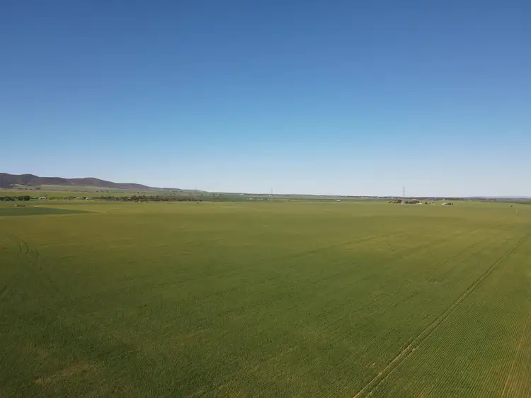 Fourth view of Homely rural property listing, Allotment 94 Locks Road, Napperby SA 5540
