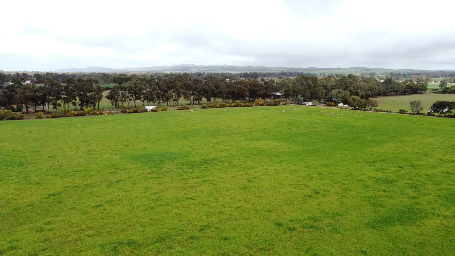 Main view of Homely land listing, LOT Section, 403 Wenhams Road, Jamestown SA 5491