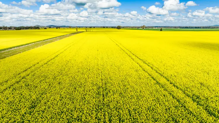 Third view of Homely rural property listing, 'Reynella'/348 Reynella Rd, Walbundrie NSW 2642