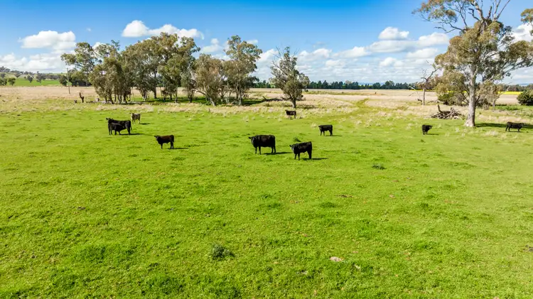 Fourth view of Homely rural property listing, 'Reynella'/348 Reynella Rd, Walbundrie NSW 2642