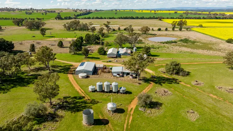 Fifth view of Homely rural property listing, 'Reynella'/348 Reynella Rd, Walbundrie NSW 2642