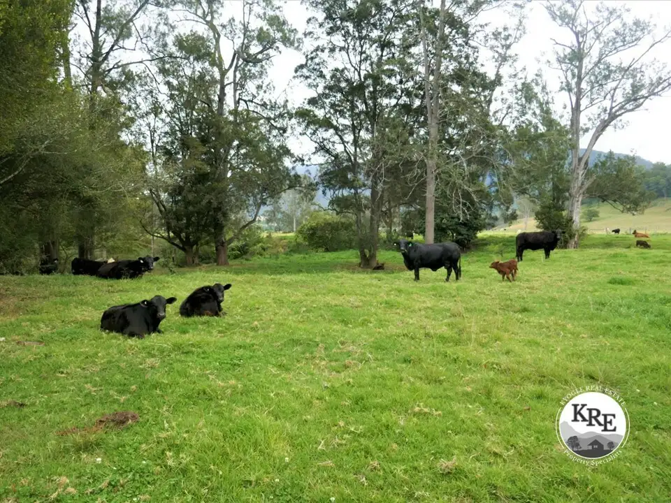Main view of Homely rural property listing, 35 Phelps Road, Kyogle NSW 2474