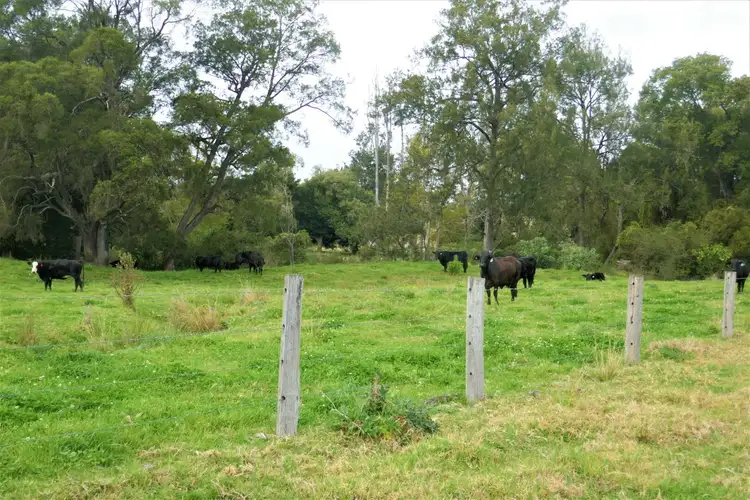 Second view of Homely rural property listing, 35 Phelps Road, Kyogle NSW 2474