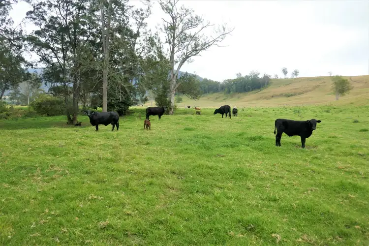 Seventh view of Homely rural property listing, 35 Phelps Road, Kyogle NSW 2474