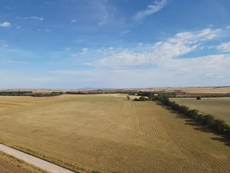 Section 67 River Road, Koolunga SA 5464