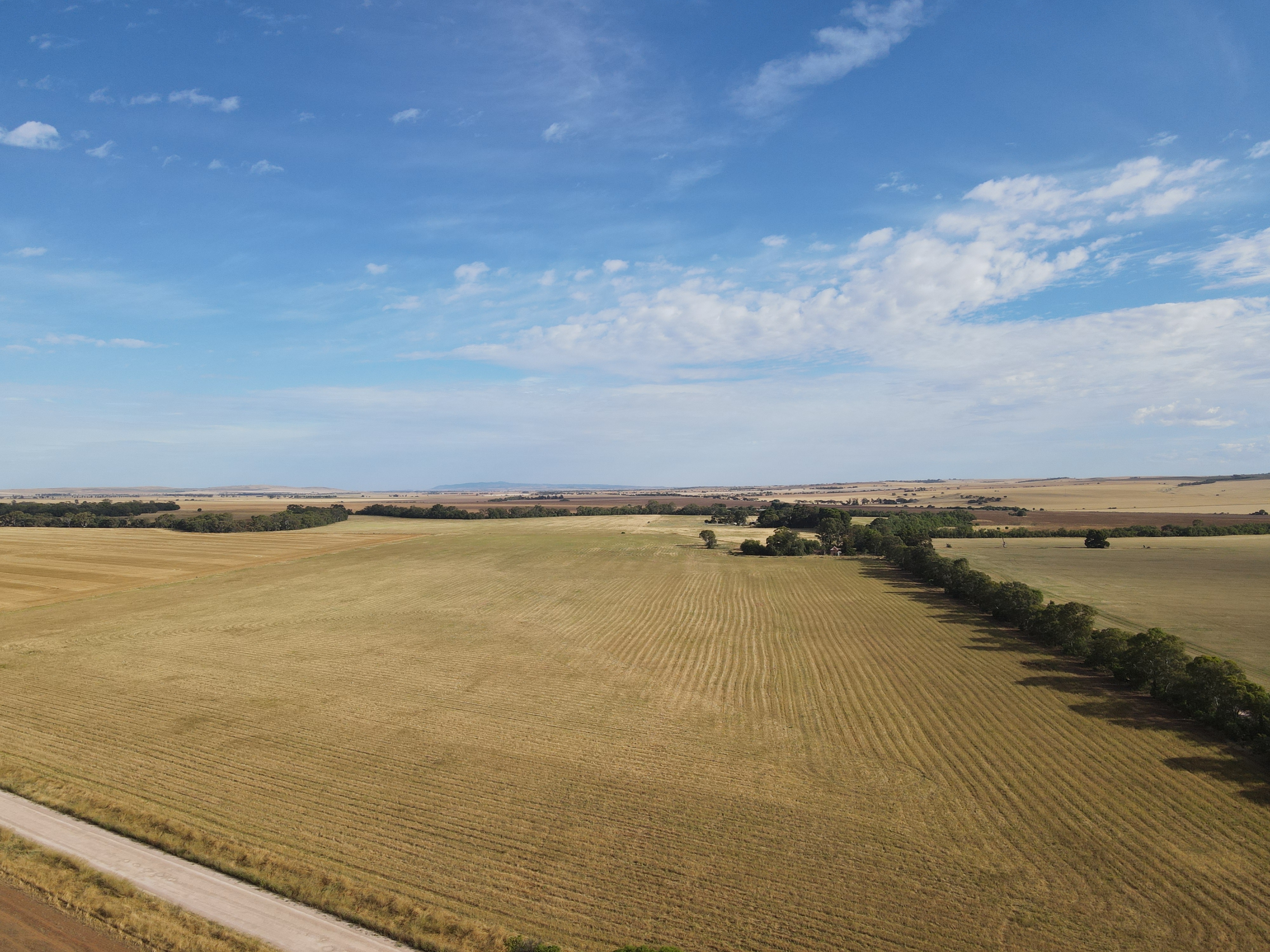 Main view of Homely rural property listing, Section 67 River Road, Koolunga SA 5464