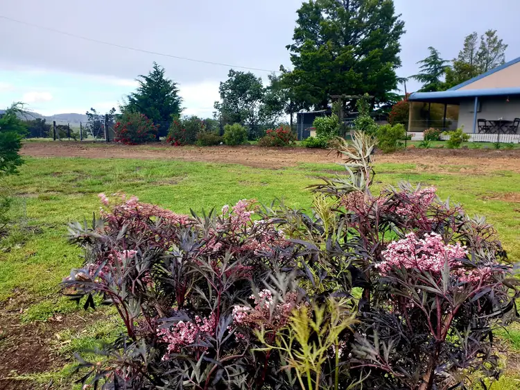 Fourth view of Homely rural property listing, 7783 Castlereagh Hwy, Aarons Pass NSW 2850