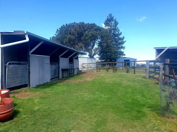 Seventh view of Homely rural property listing, 7783 Castlereagh Hwy, Aarons Pass NSW 2850