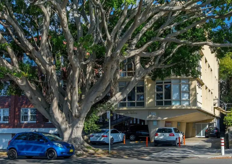 Fifth view of Homely apartment listing, Unit 6/593 New South Head Rd, Rose Bay NSW 2029