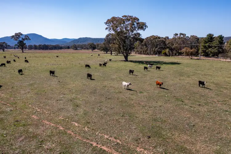 Seventh view of Homely rural property listing, 72/283 Pyangle Road, Rylstone NSW 2849