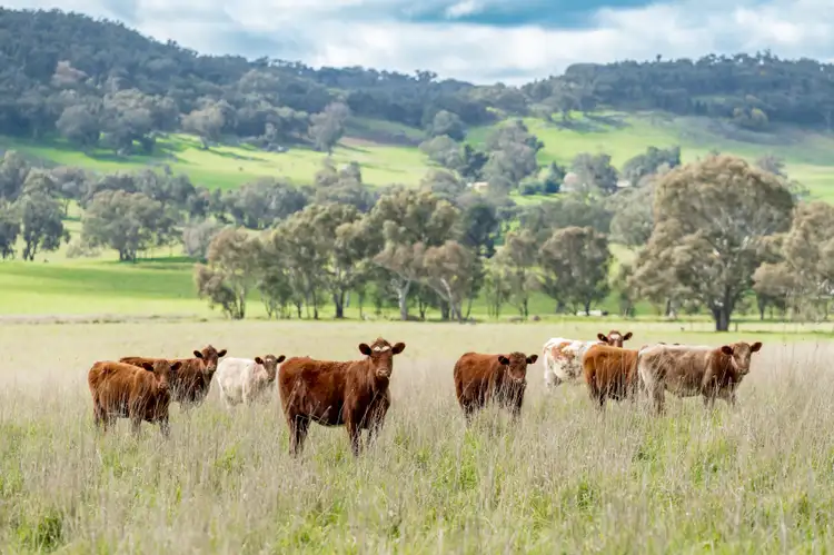 Third view of Homely rural property listing, 'Part Glenlea'/798 Bethel Road, Glenellen NSW 2642